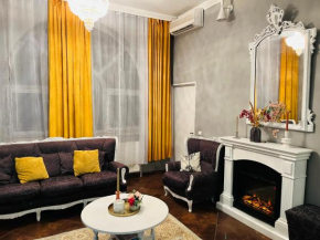 Confort Luxury Center Villa- langa Mitropolie si Palas